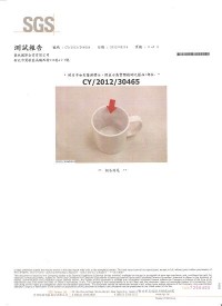 02.SGS檢驗報告-+熱轉印3-CY.2012.30465中文版